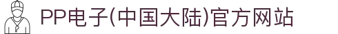 PP电子(中国大陆)官方网站